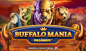 vera bet Buffalo Mania Megaways